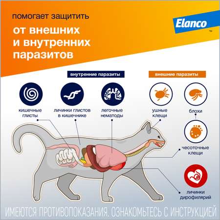 Препарат инсектоакарицидный для кошек Elanco Адвокат 0.4мл 3пипетки