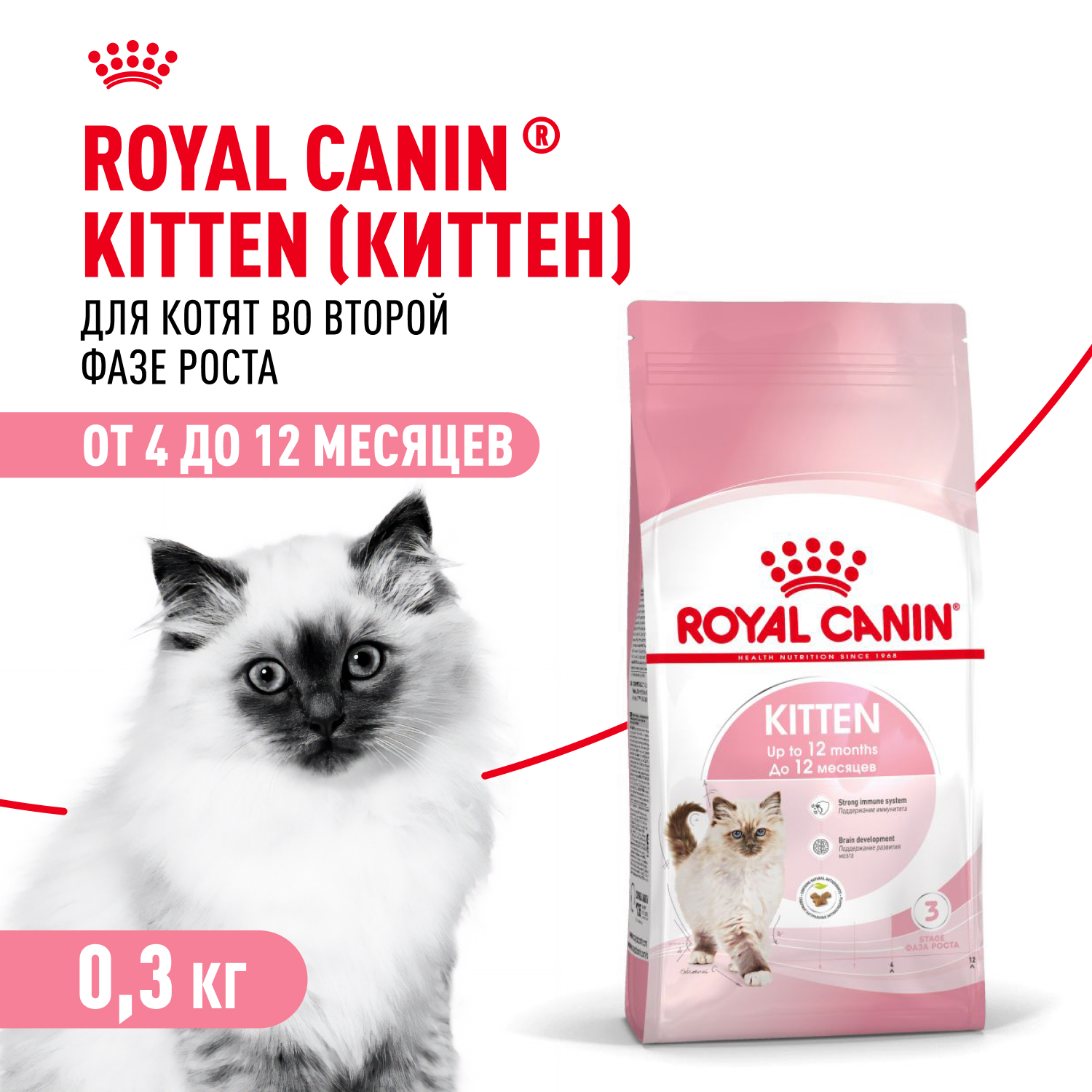 Корм сухой для котят ROYAL CANIN Kitten 300г - фото 1